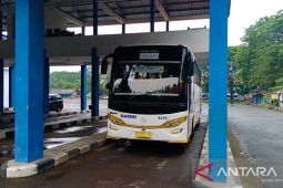 DAMRI buka layanan rute baru  Bogor-Subang kelas bisnis