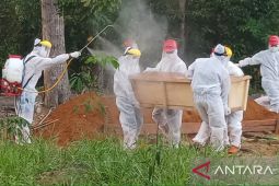 Pasien COVID-19 meninggal di Bangka capai 370 orang