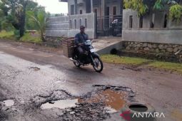 Cianjur anggarkan Rp 80 miliar perbaiki jalan kabupaten yang rusak