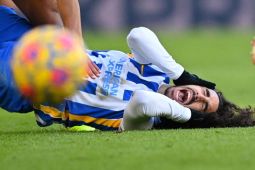 Manchester City pertimbangkan datangkan Marc Cucurella dari Brighton