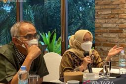 Kemenko Perekonomian: Harga kedelai dunia naik 18,9 persen