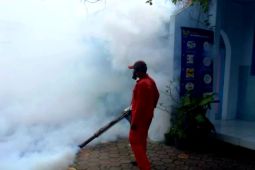 Kasus DBD di Kota Kediri Januari-Februari capai 49 orang