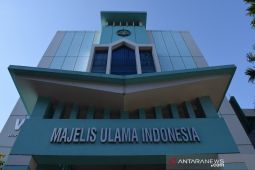 Hina Nabi Muhammad,  MUI sesalkan pernyataan politikus India