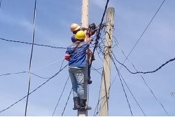 PLN UIW Sumut rutin lakukan pemeliharaan aset