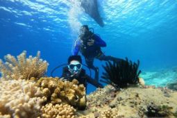 Pemkab Minahasa Tenggara mengajak warga promosikan pariwisata