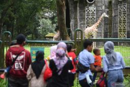 Arus Mudik  --  Online reservations can help control tourist numbers during Eid