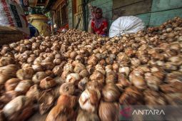 Produksi pinang di Aceh Selatan capai 763 ton
