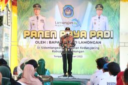 Sektor pertanian Lamongan tumbuh positif pada 2021