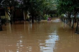 BPBD Langkat : Empat desa terdampak banjir