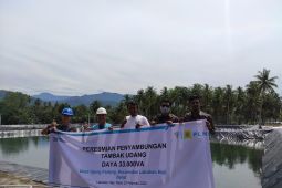 PLN ULP Labuhan Haji selesaikan penyalaan KWh meter tambak udang