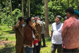 Pemerintah pusat tinjau kawasan penyangga pangan IKN  di Donggala