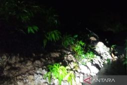 Hujan deras, tujuh titik longsor tutup badan jalan provinsi di Tapsel