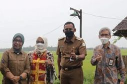 Bupati Aceh Timur target ekonomi meningkat pada 2022