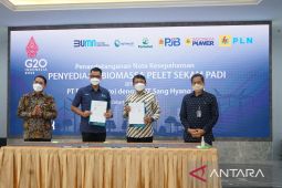 PLN Gandeng PT Sang Hyang Seri Olah Sekam Padi Jadi Bahan Bakar PLTU