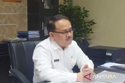 Stok kedelai Kaltim aman hingga tiga bulan ke depan