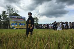 Gubernur Aceh minta dukungan Mentan atasi defisit perdagangan
