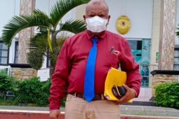 JDP serukan para pihak di Papua akhiri konflik lewat dialog damai