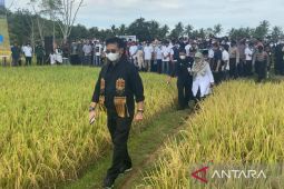 Mentan ingin petani padi di Aceh bisa panen empat kali setahun