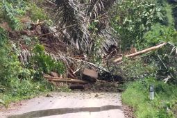 West Pasaman records another landslide