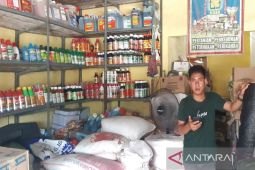 Harga pupuk di Tanah Bumbu tembus Rp800 ribu/karung