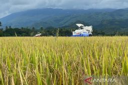 Aceh targetkan produksi padi 1,8 juta ton pada 2022