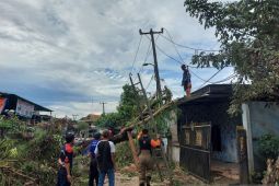 Tangerang kerahkan petugas bereskan pepohonan yang tumbang