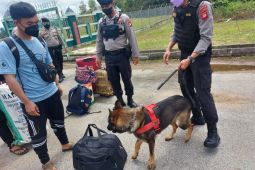Polda Kalbar gunakan anjing pelacak untuk patroli di perbatasan