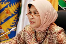 Anna Latuconsina minta komunitas lingkungan dan pemerintah peduli pantai di Maluku, jaga kelestarian lingkungan