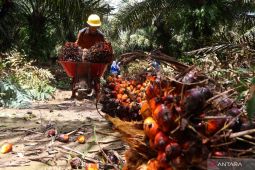 Humas PT KAP : Perusahaan sudah terapkan pengupahan sesuai aturan