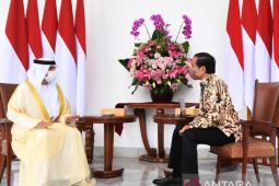 Presiden Joko Widodo terima kunjungan Delegasi Persatuan Emirat Arab