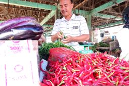 Harga cabai merah melejit Rp60 ribu/kg di Aceh Tamiang
