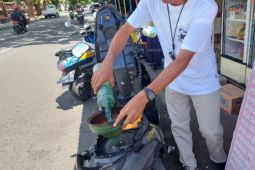 BBM di Pulau Halmahera Malut menipis karena kendala distribusi