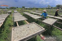 Pemerintah tambah subsidi bunga KUR