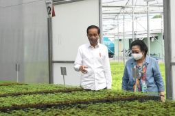 Fasilitas persemaian langkah awal rehabilitasi lahan kritis, kata presiden