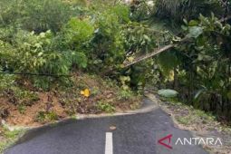 Hujan deras akibatkan tebing Bukit Kasangkah di Pamekasan longsor