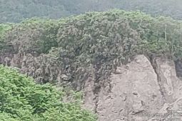 Gunung Merapi meluncurkan awan panas sejauh lima kilometer