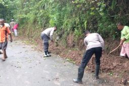 Tanah longsor lumpuhkan jalan antardesa di Madiun