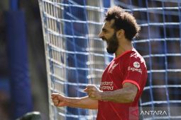 Luis Diaz dan Mohamed Salah bawa Liverpool menang di markas Brighton