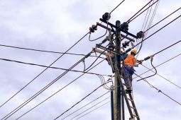 Ini yang dilakukan PLN ULP Idi, atasi gangguan penyulang