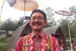 Tabalong's four villages commence digital services