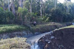 Ratusan hektare sawah  terancam gagal panen di Pidie
