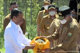 Gubernur Aceh tabur tanah Iskandar Muda dan air Masjid Raya di IKN