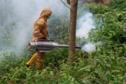 Kawasan berkemah Presiden Jokowi steril dari malaria