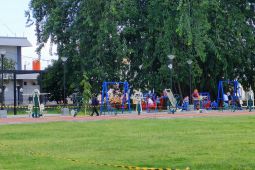 Disperumkim Kota Bogor prioritaskan pemotongan pohon di area taman