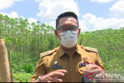 Ridwan Kamil: IKN jadi kesempatan bangun kota terbaik di dunia