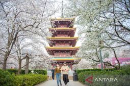 Taman hiburan bertema mitologi China mulai dibangun di Wuhan
