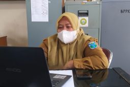 Stok beras di Batanghari untuk tahun 2022  aman