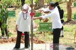 Presiden tanam  34 pohon khas seluruh provinsi di Indonesia