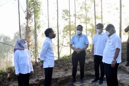 Presiden Jokowi minta Otorita IKN lincah dapatkan sumber pendanaan