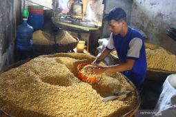 Produksi kedelai petani di Ngawi turun